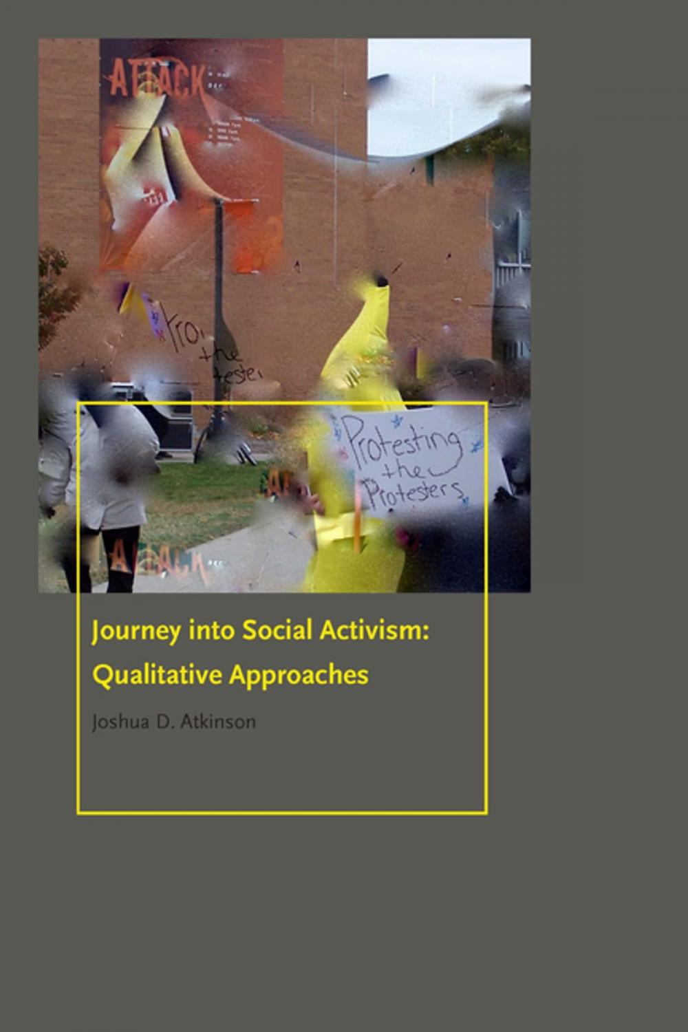 Big bigCover of Journey into Social Activism