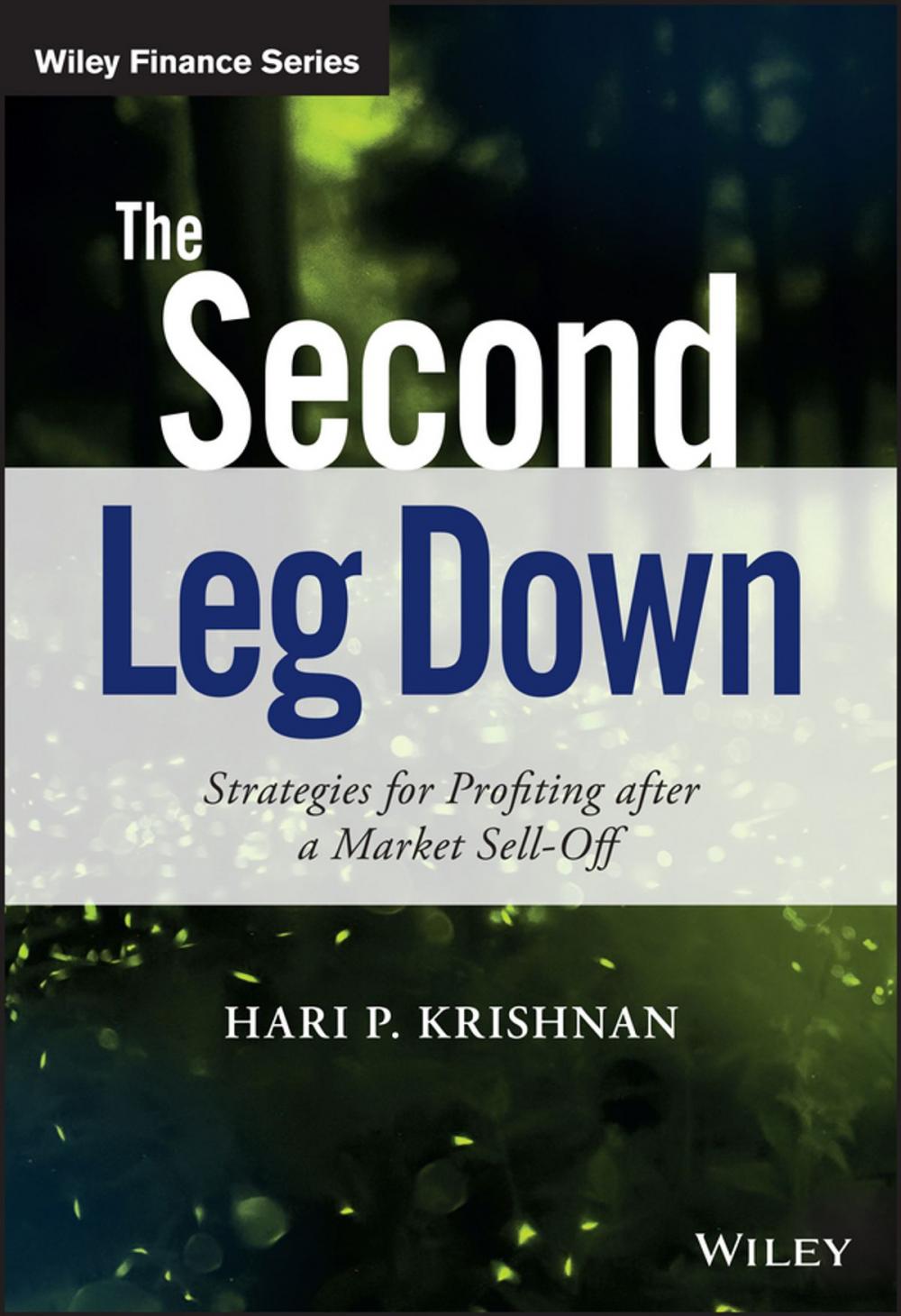 Big bigCover of The Second Leg Down
