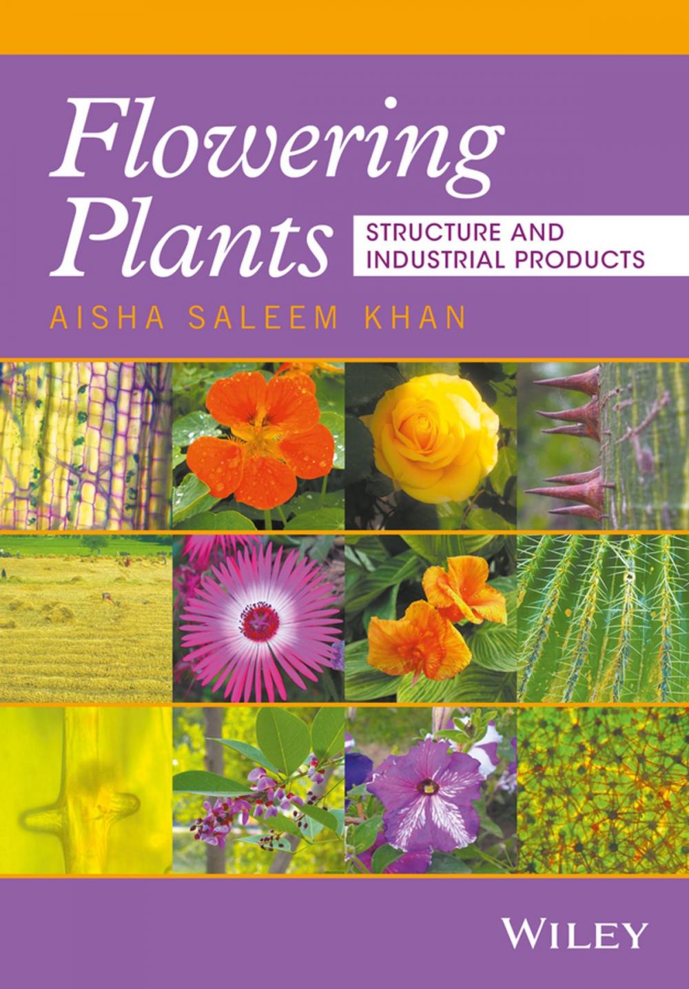 Big bigCover of Flowering Plants