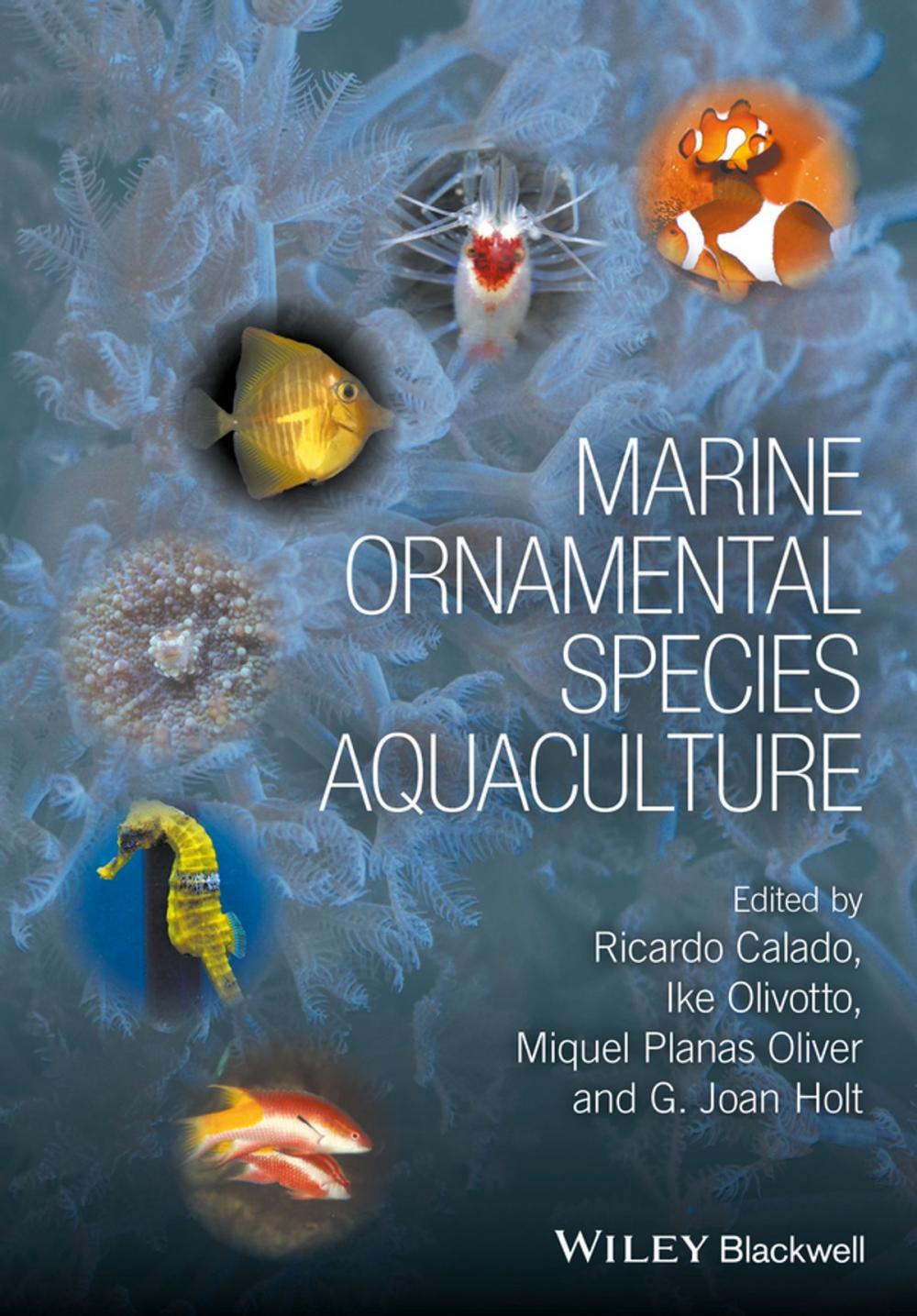 Big bigCover of Marine Ornamental Species Aquaculture