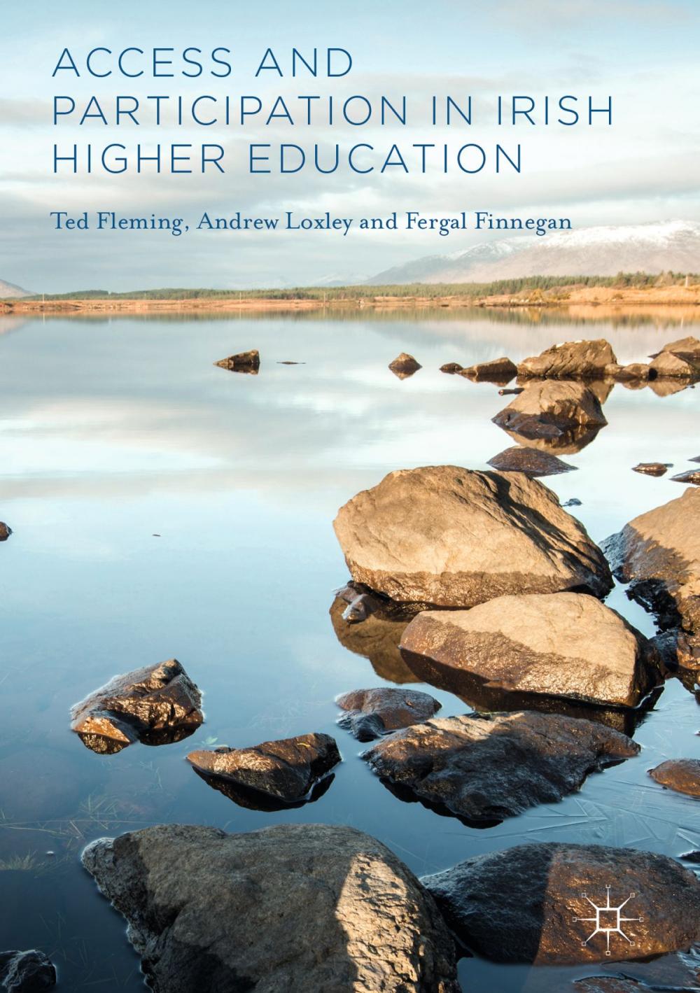 Big bigCover of Access and Participation in Irish Higher Education