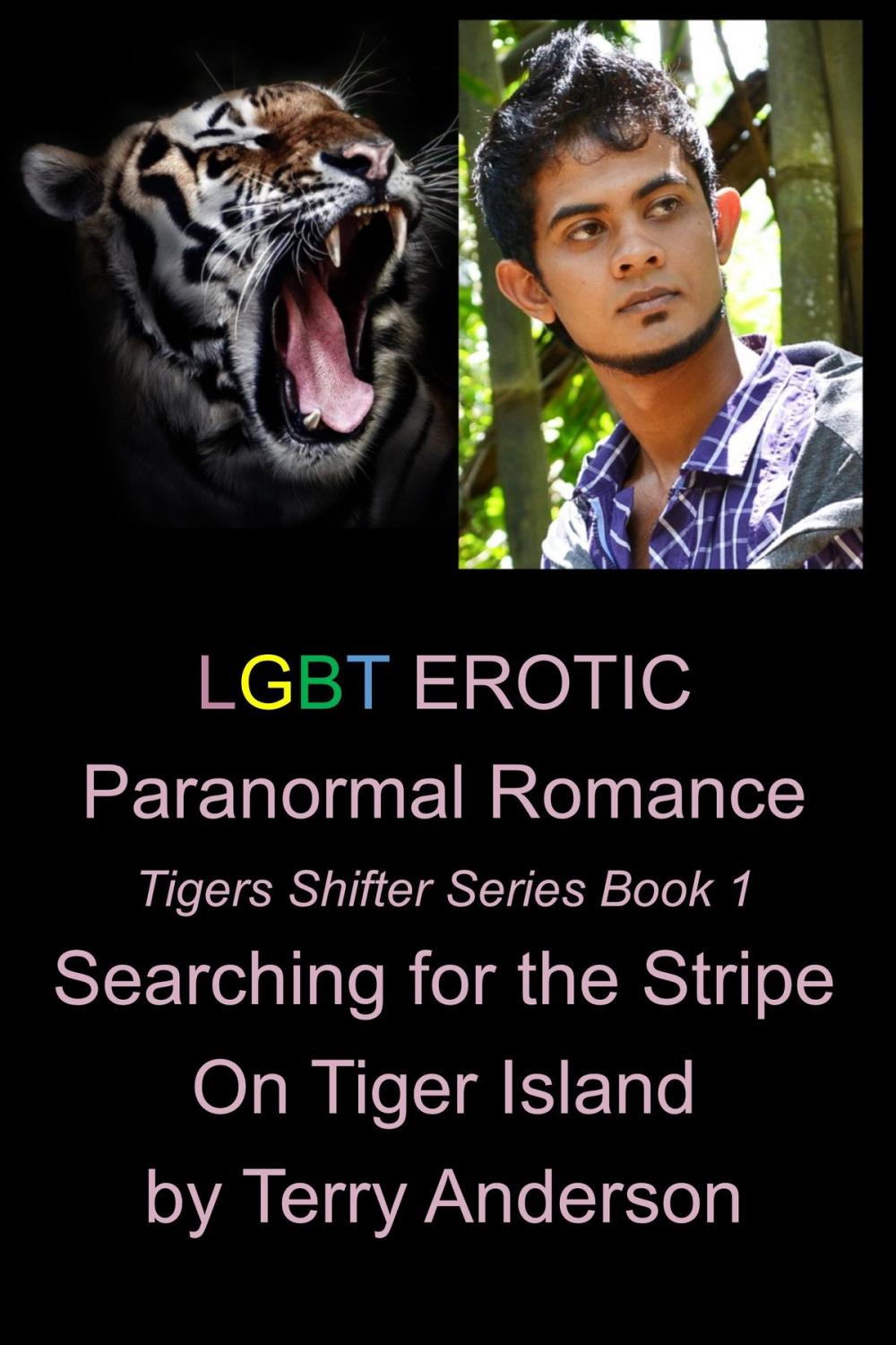 Big bigCover of LGBT Erotic Paranormal Romance Searching For the Stripe on Tiger Island (Tiger Shifter Series Book 1)