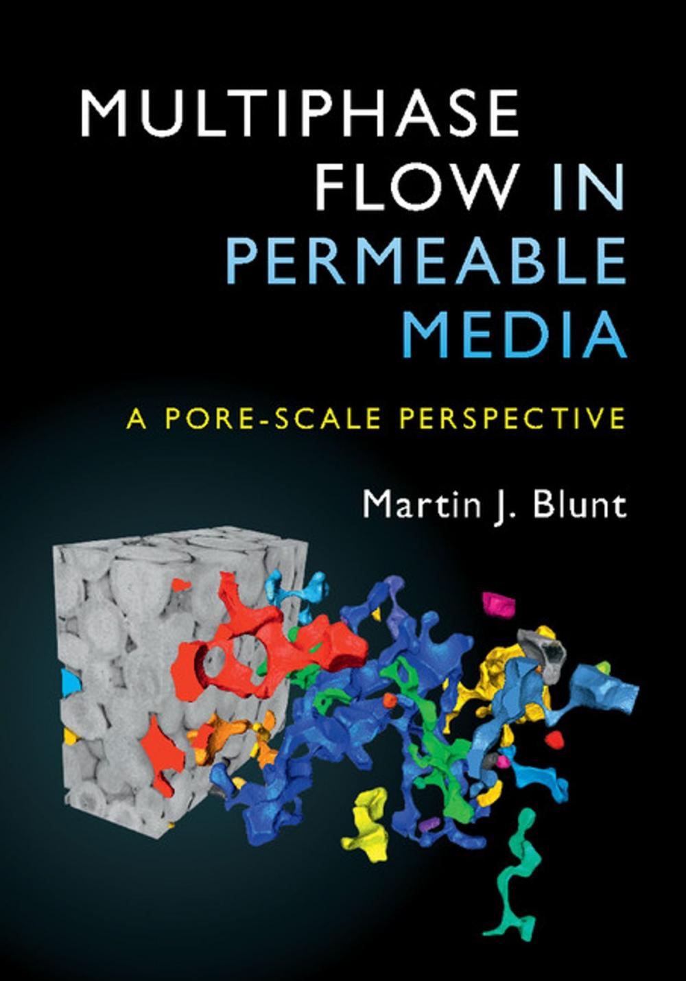 Big bigCover of Multiphase Flow in Permeable Media