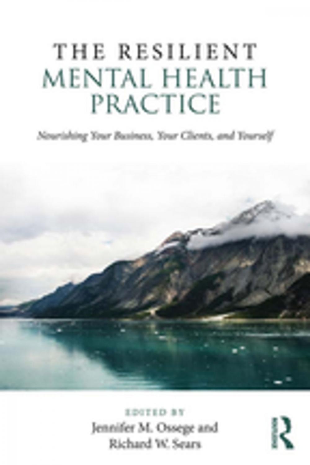 Big bigCover of The Resilient Mental Health Practice