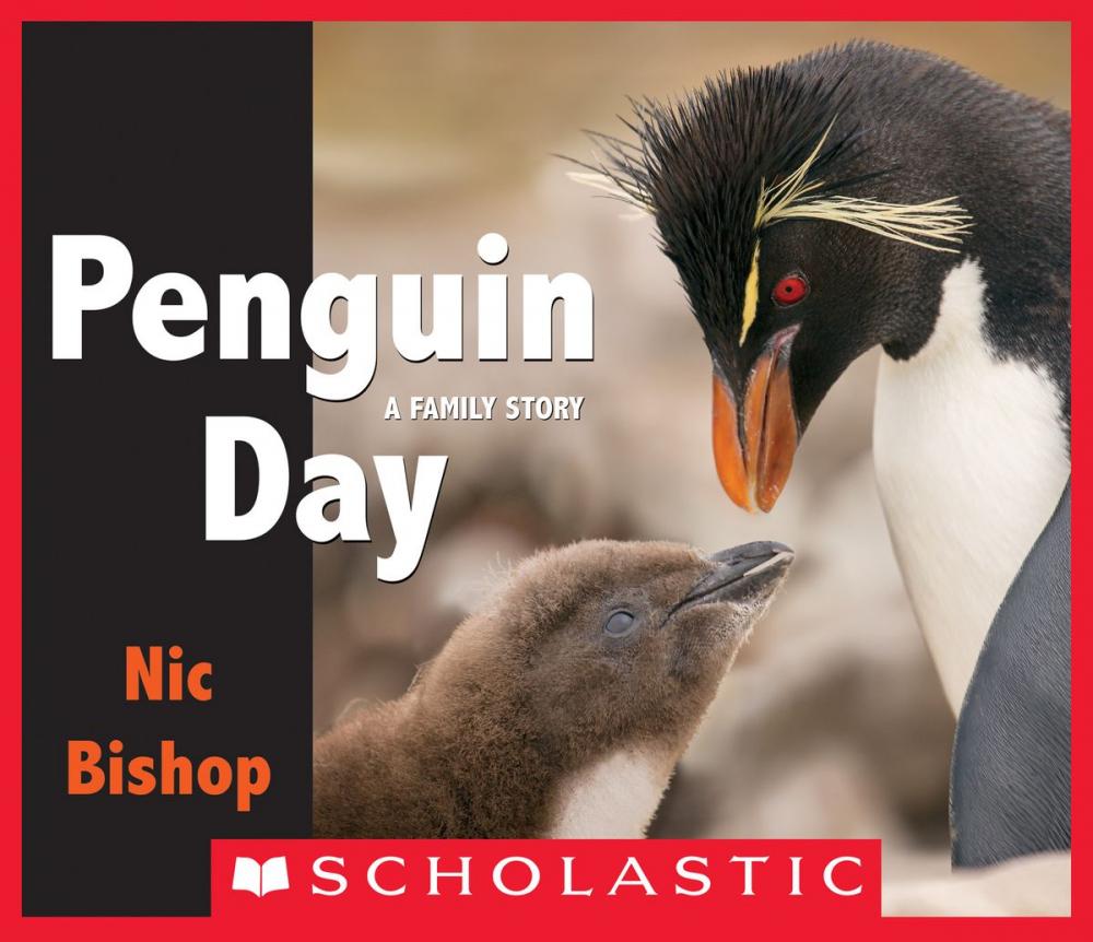 Big bigCover of Penguin Day