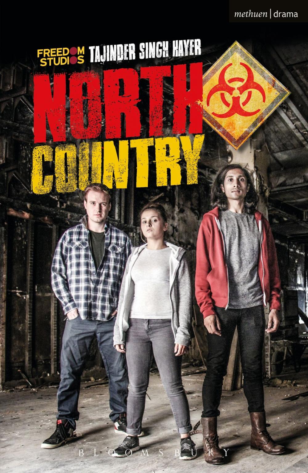 Big bigCover of North Country