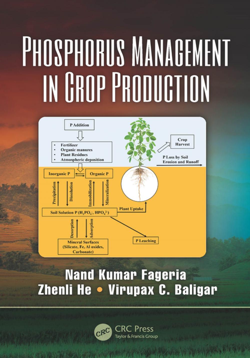 Big bigCover of Phosphorus Management in Crop Production