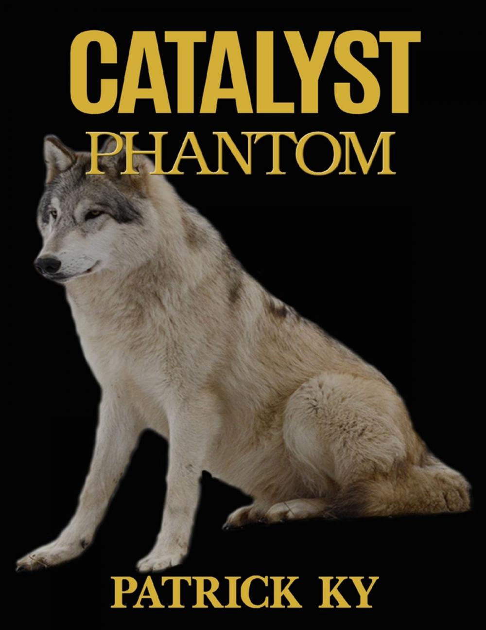 Big bigCover of CATALYST PHANTOM