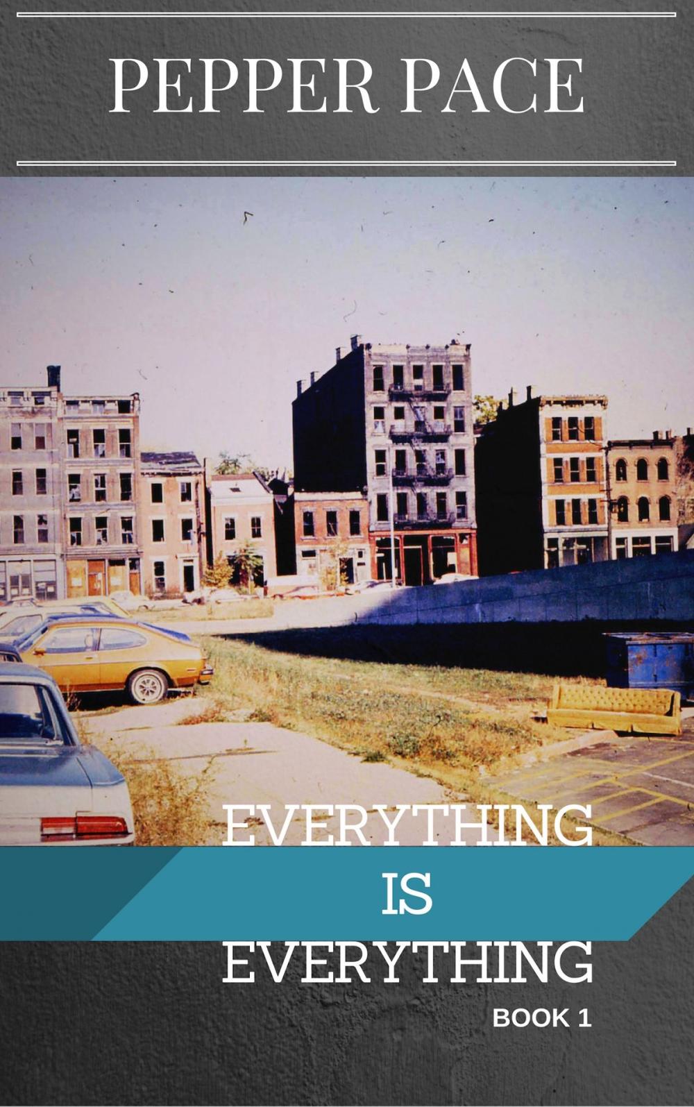 Big bigCover of Everything is Everything Book 1