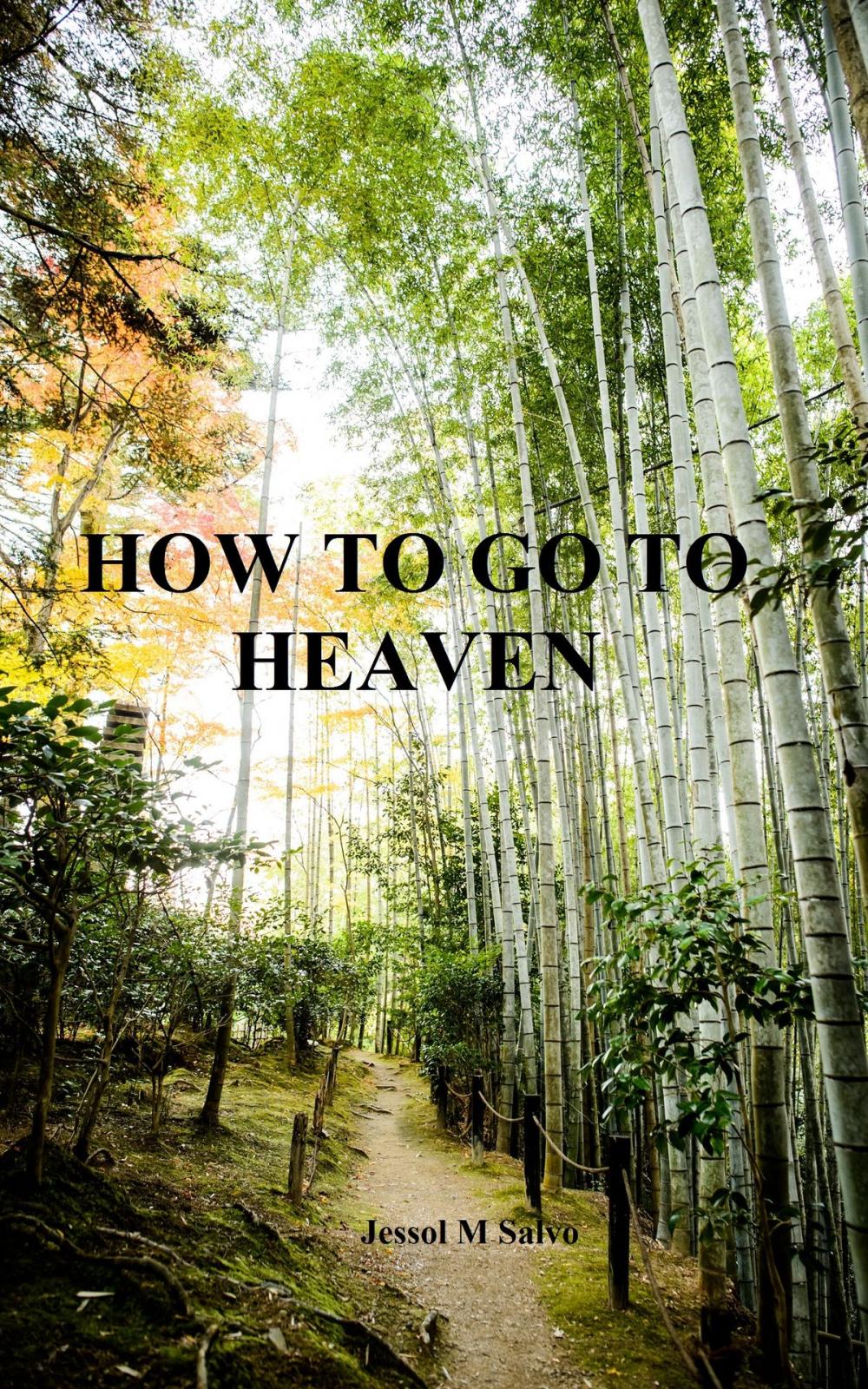 Big bigCover of How to Go to Heaven