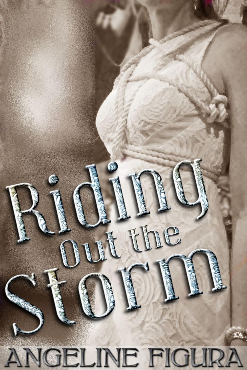 Big bigCover of Riding Out the Storm (BDSM Billionaire Erotica)