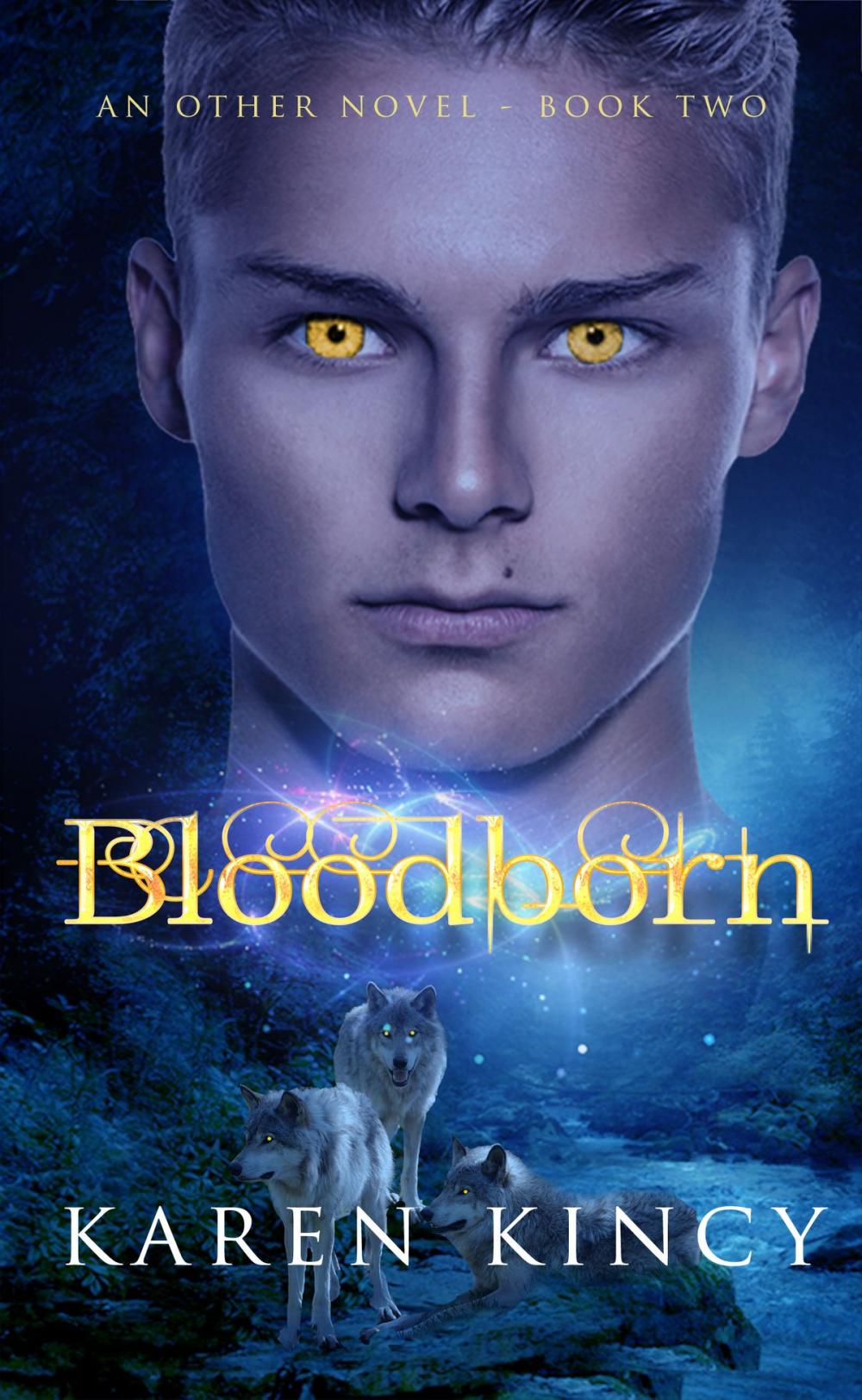 Big bigCover of Bloodborn