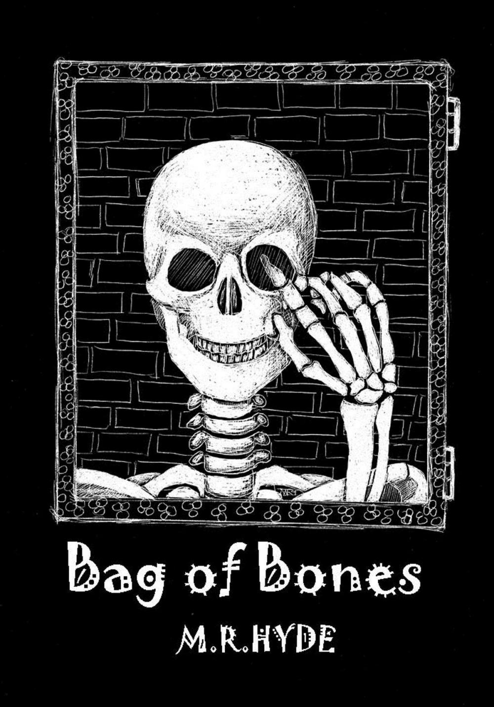 Big bigCover of Bag of Bones