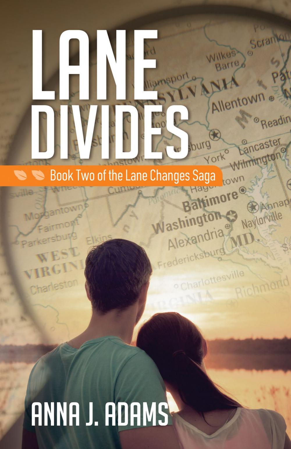 Big bigCover of Lane Divides