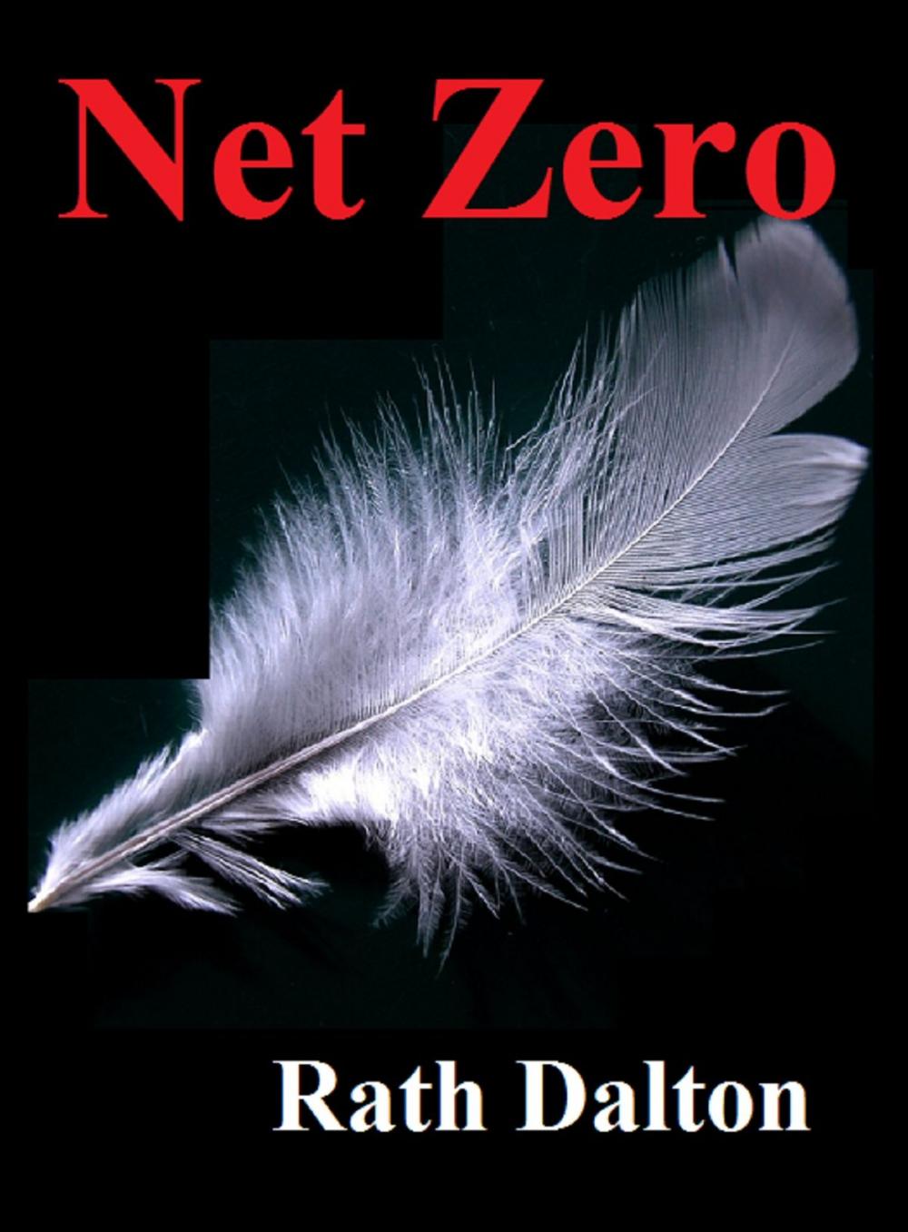 Big bigCover of Net Zero