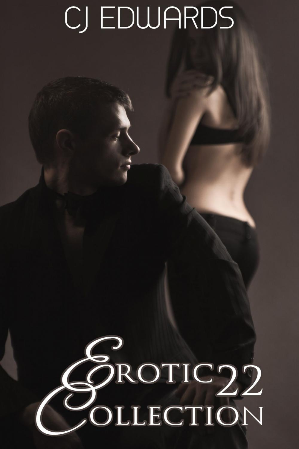 Big bigCover of Erotic Collection 22