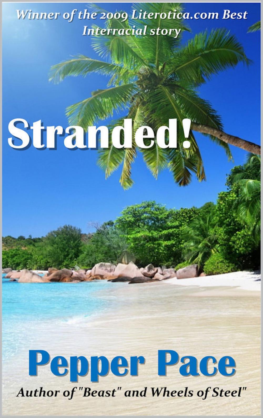 Big bigCover of Stranded!