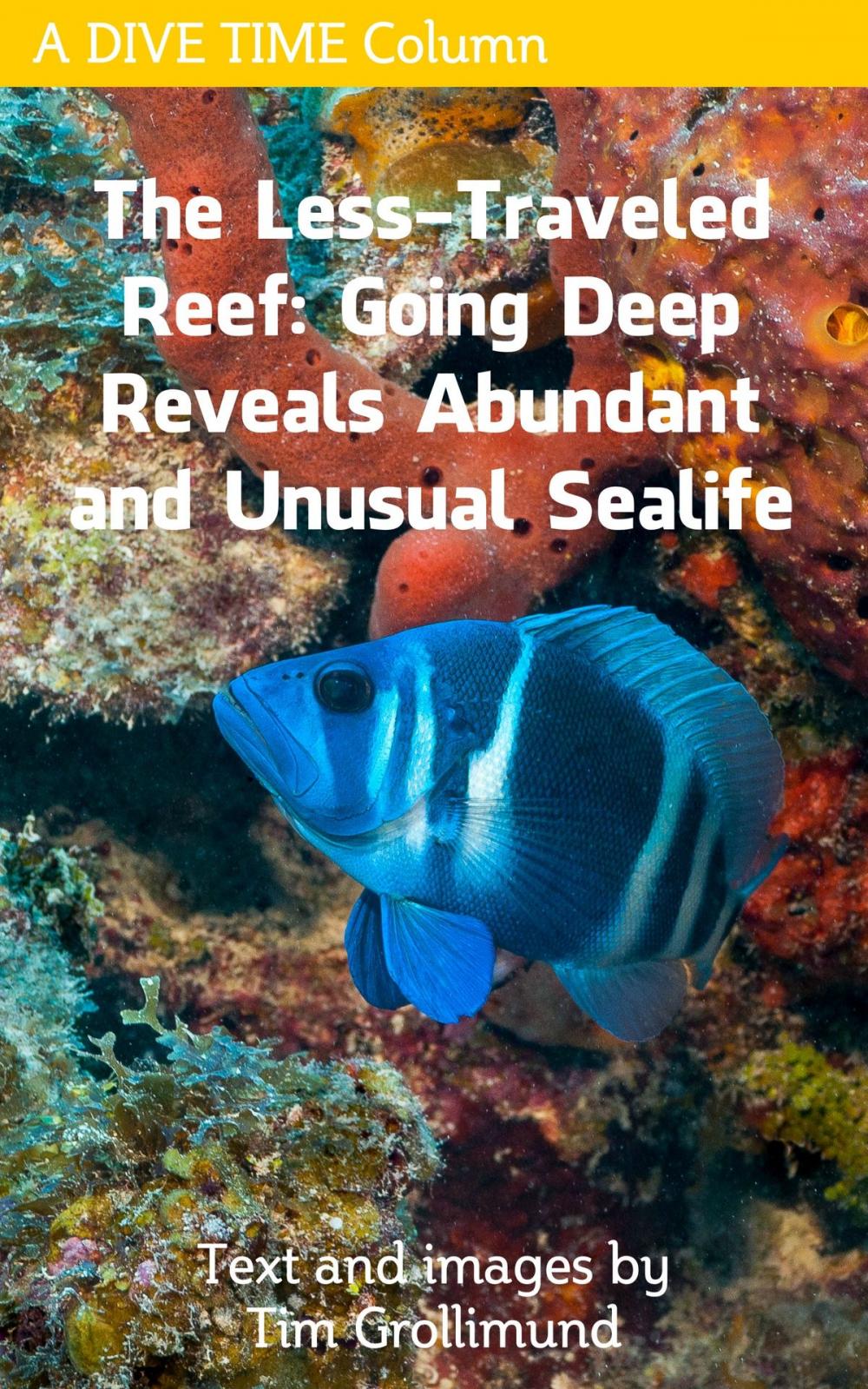 Big bigCover of The Less Traveled Reef: Going Deep Reveals Abundant and Unusual Sealife