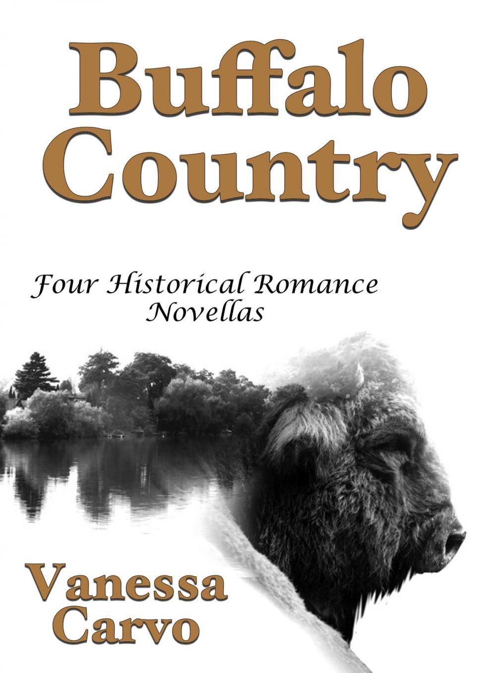 Big bigCover of Buffalo Country: Four Historical Romance Novellas