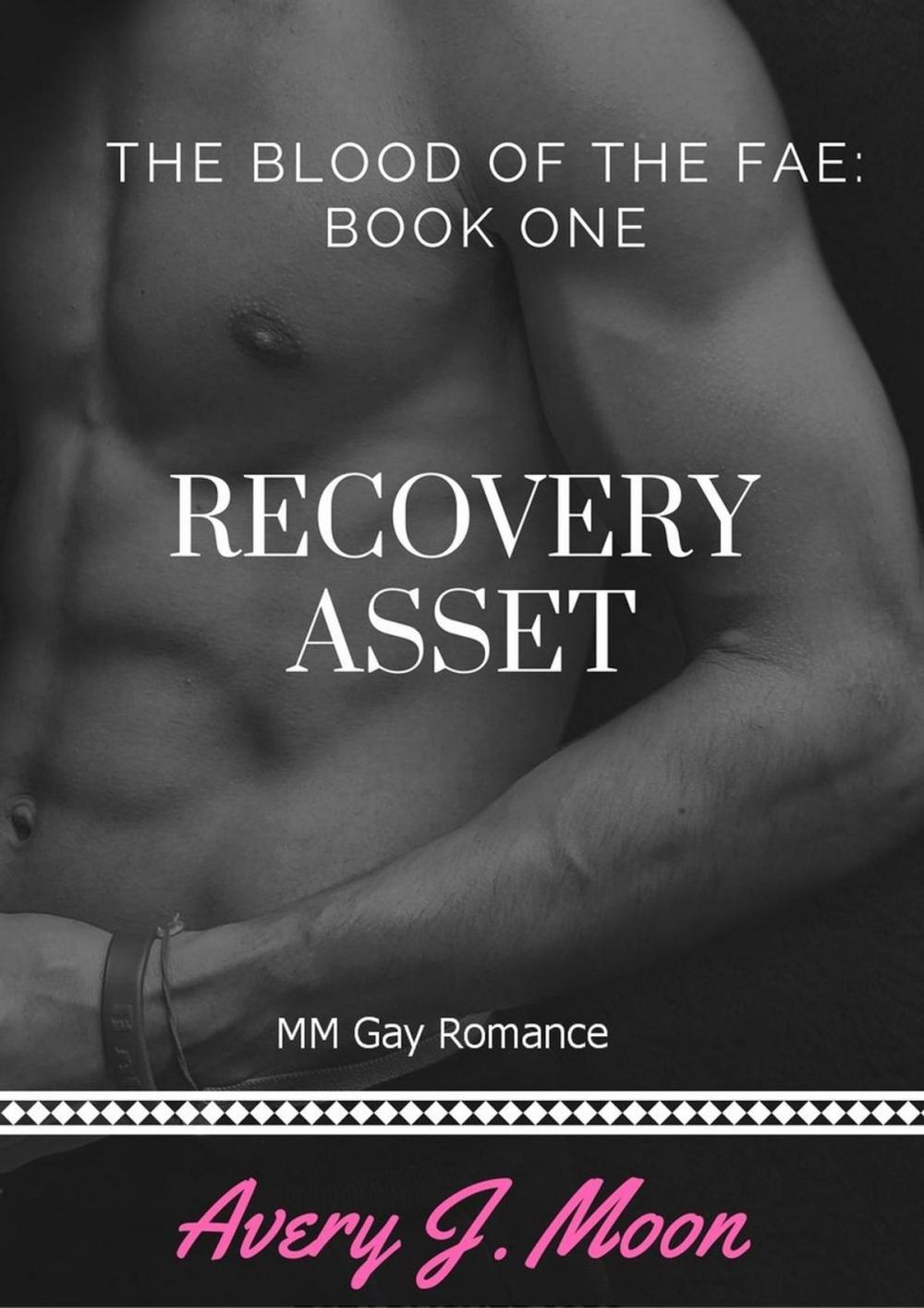 Big bigCover of Recovery Asset