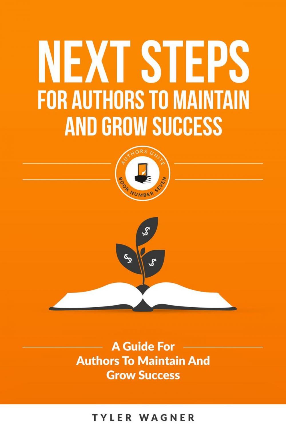 Big bigCover of Next Steps For Authors To Maintain And Grow Success