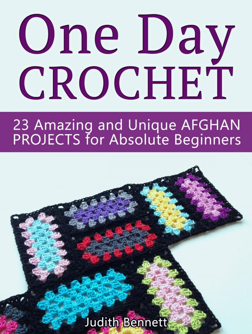 Big bigCover of One Day Crochet: 23 Amazing and Unique Afghan Projects for Absolute Beginners