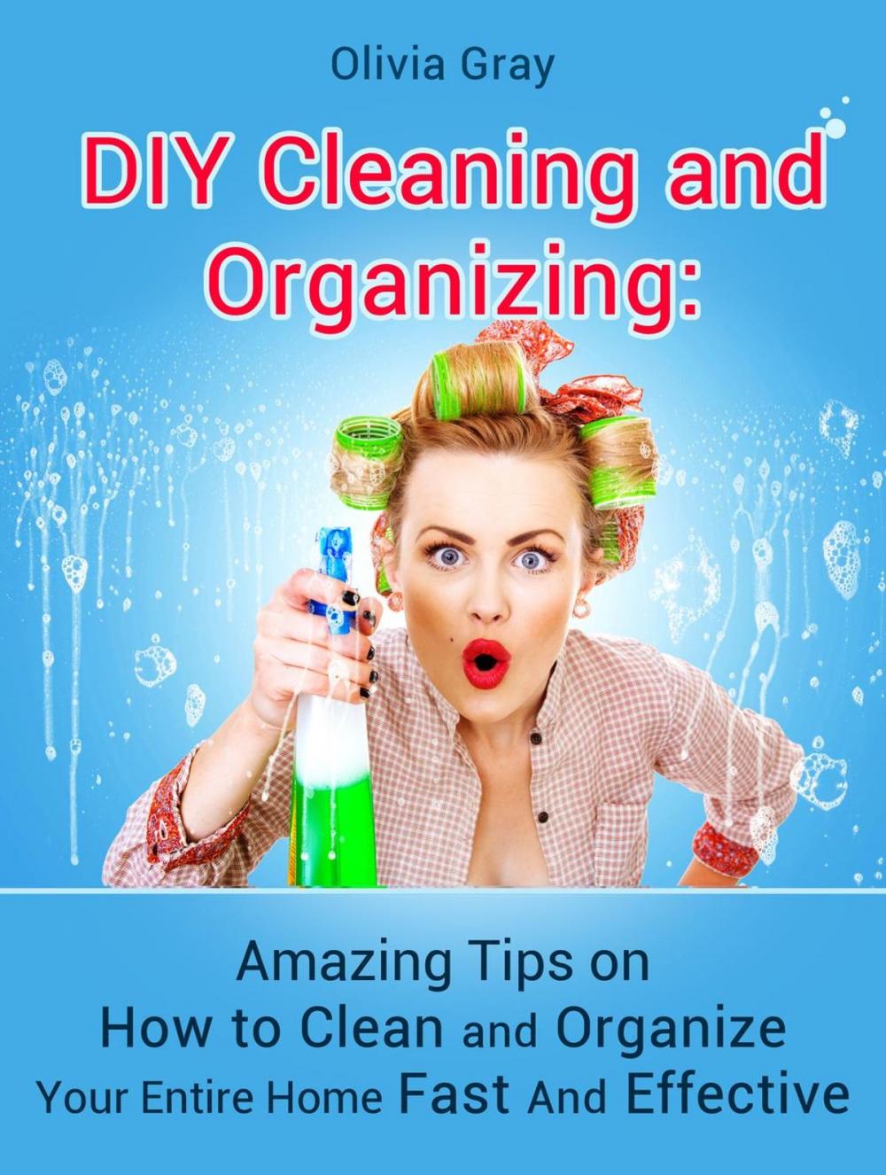 Big bigCover of Diy Cleaning and Organizing: Amazing Tips on How to Clean and Organize Your Entire Home Fast And Effective