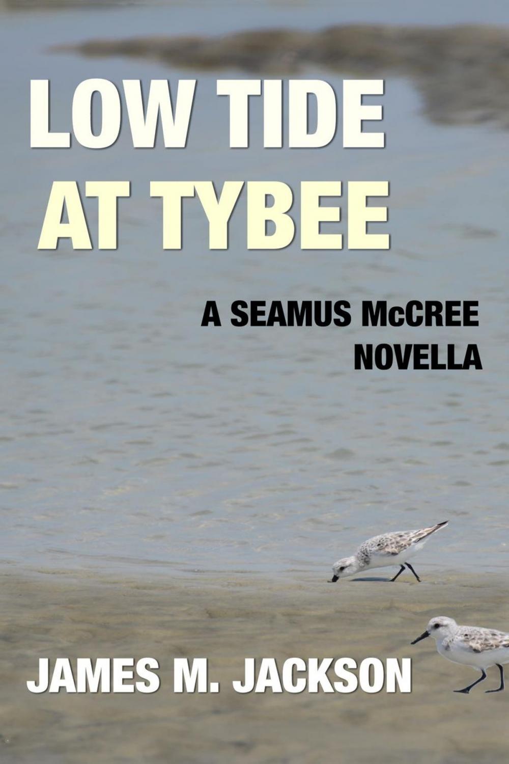 Big bigCover of Low Tide at Tybee