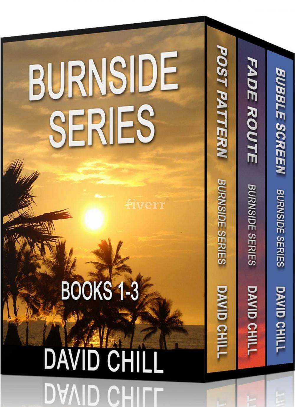 Big bigCover of The Burnside Mystery Series, Box Set (Books 1-3)