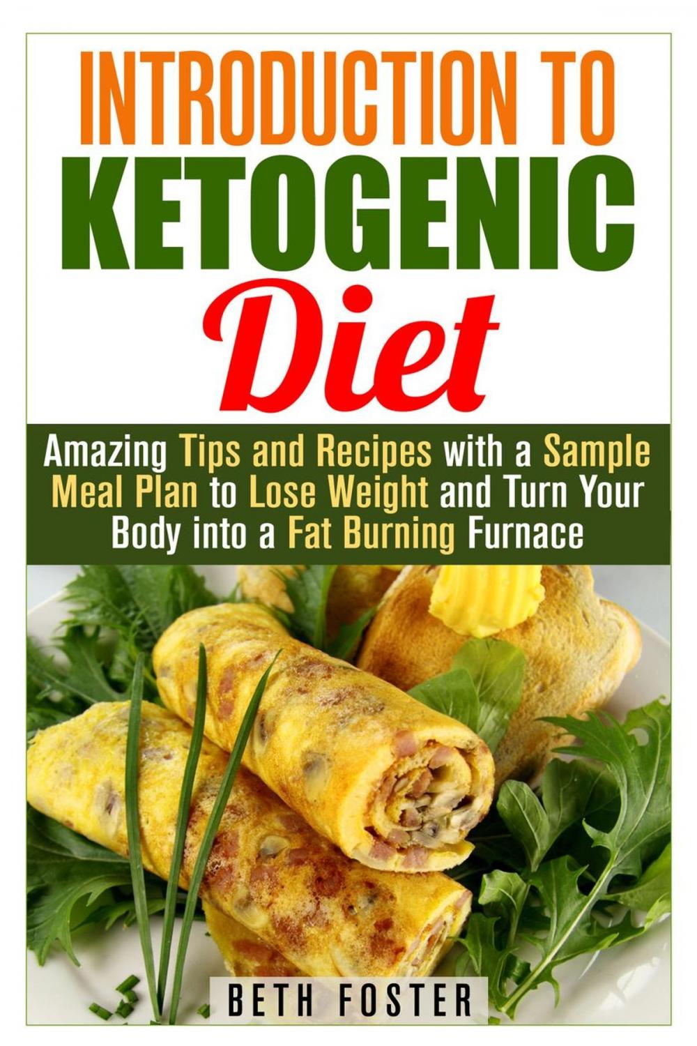 Big bigCover of Introduction to Ketogenic Diet : Amazing Tips and Recipes with a Sample Meal Plan to Lose Weight and Turn Your Body into a Fat Burning Furnace