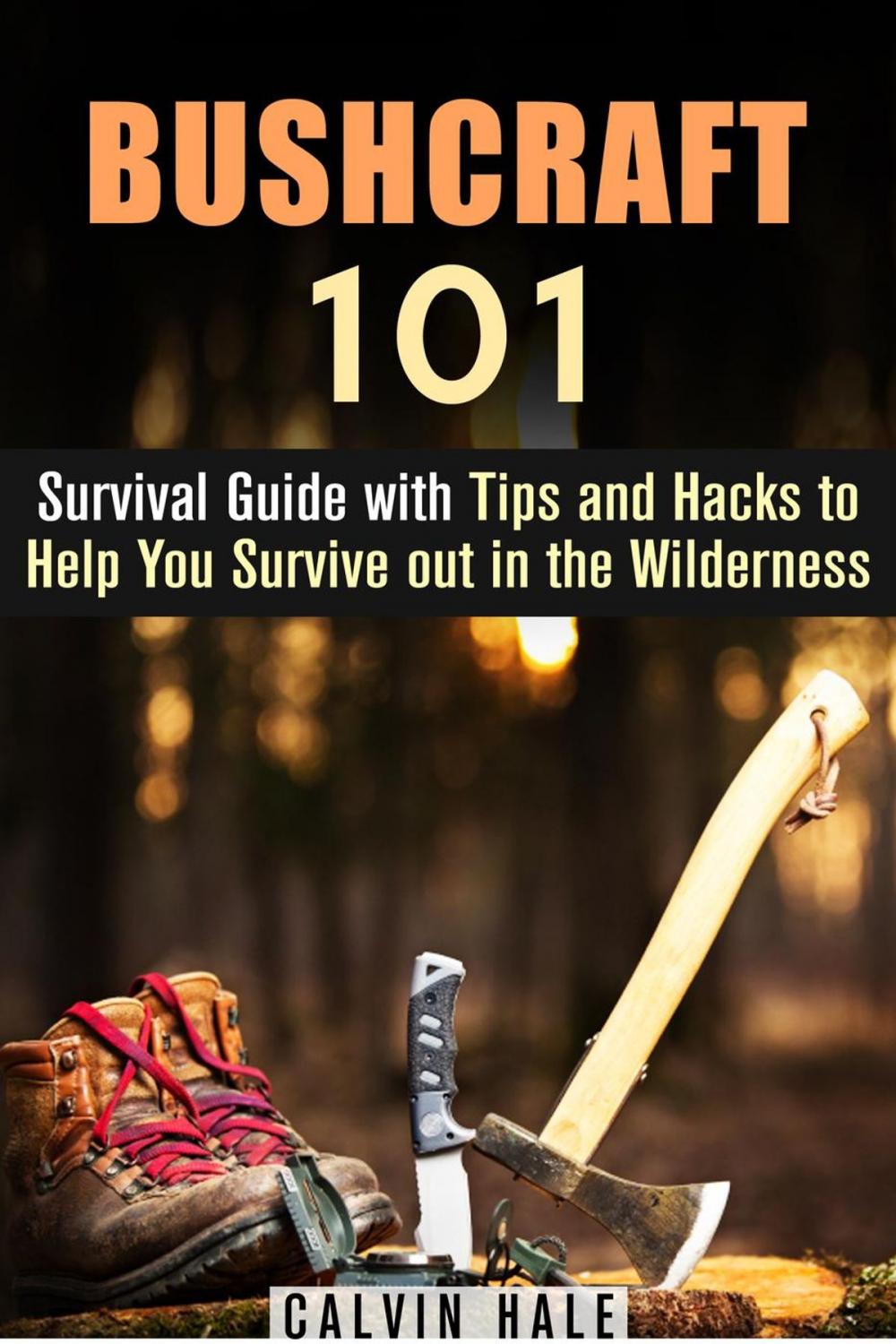 Big bigCover of Bushcraft 101: Survival Guide with Tips and Hacks to Help You Survive out in the Wilderness