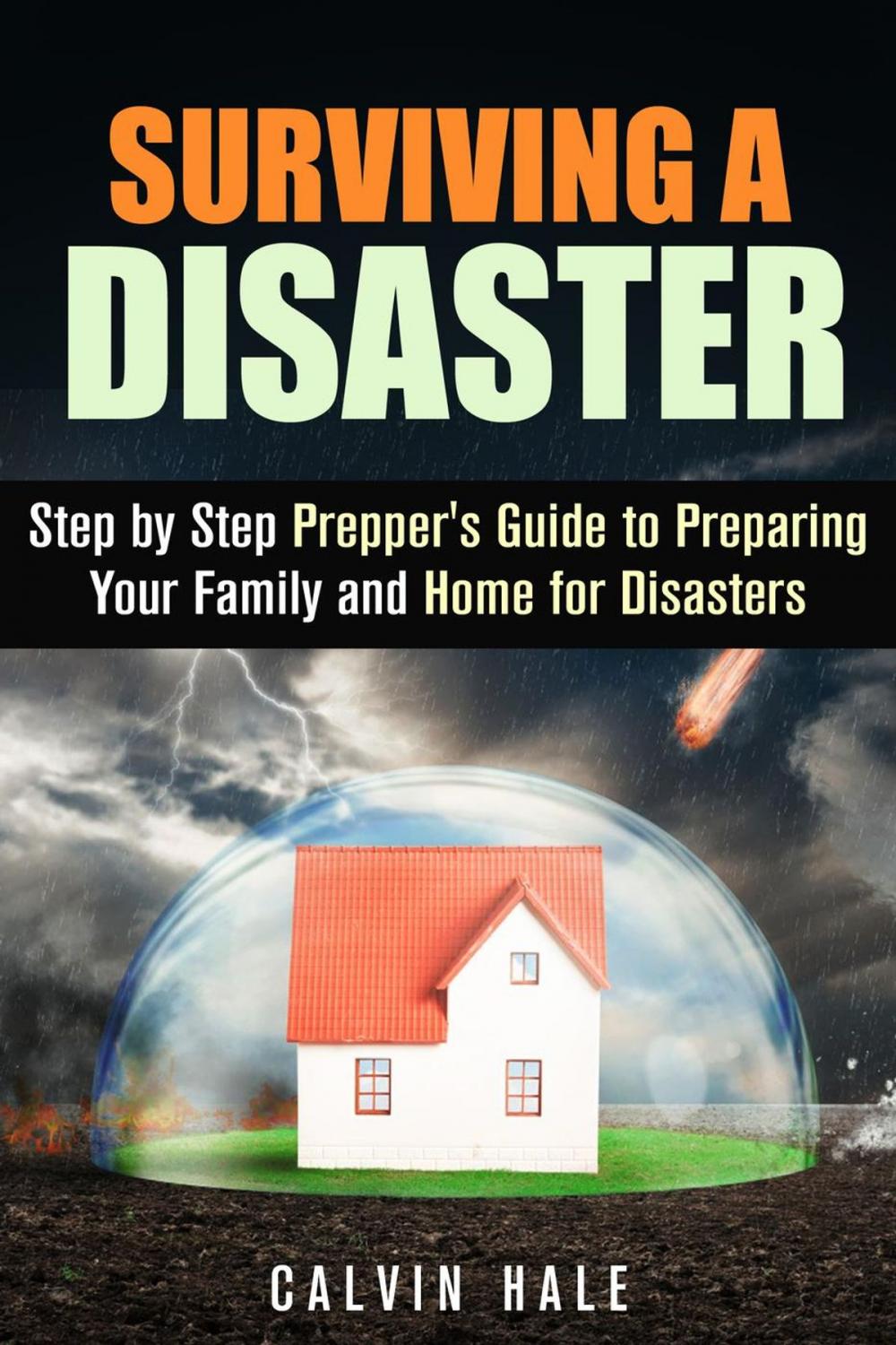 Big bigCover of Surviving a Disaster: Step by Step Prepper's Guide to Preparing Your Family and Home for Disasters