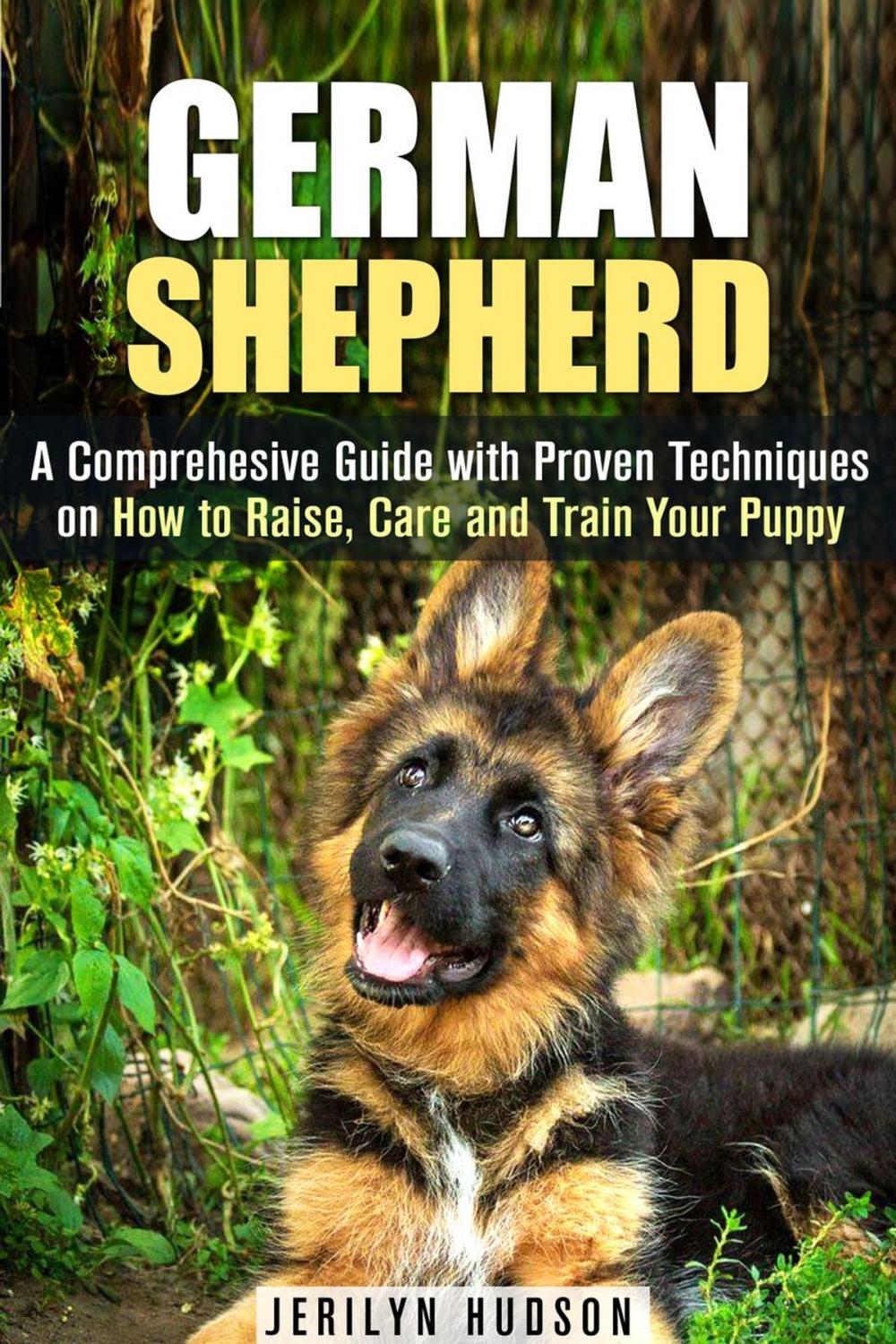 Big bigCover of German Shepherd: A Comprehesive Guide with Proven Techniques on How to Raise, Care and Train Your Puppy