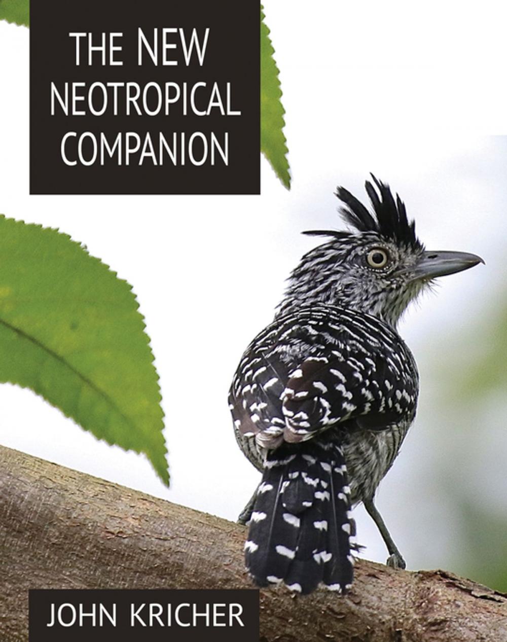 Big bigCover of The New Neotropical Companion