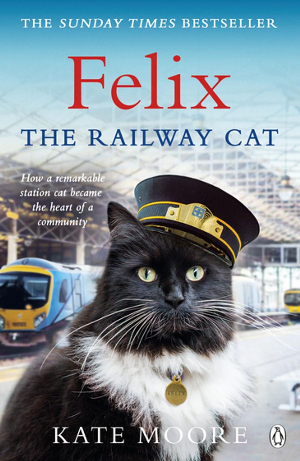 Big bigCover of Felix the Railway Cat