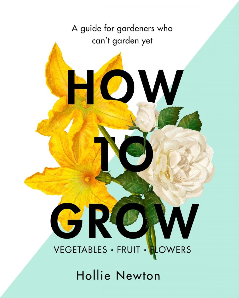 Big bigCover of How to Grow