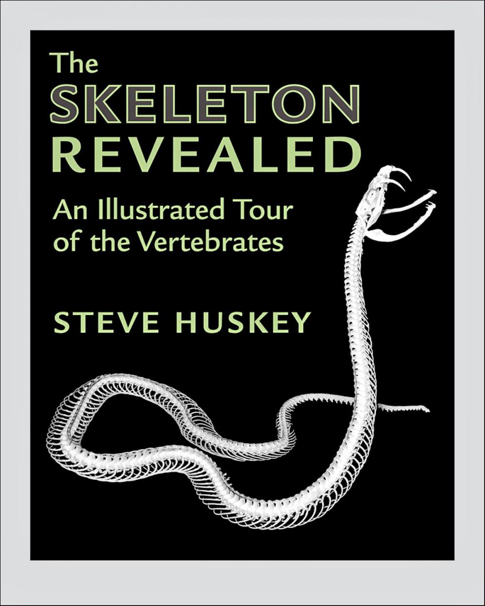 Big bigCover of The Skeleton Revealed