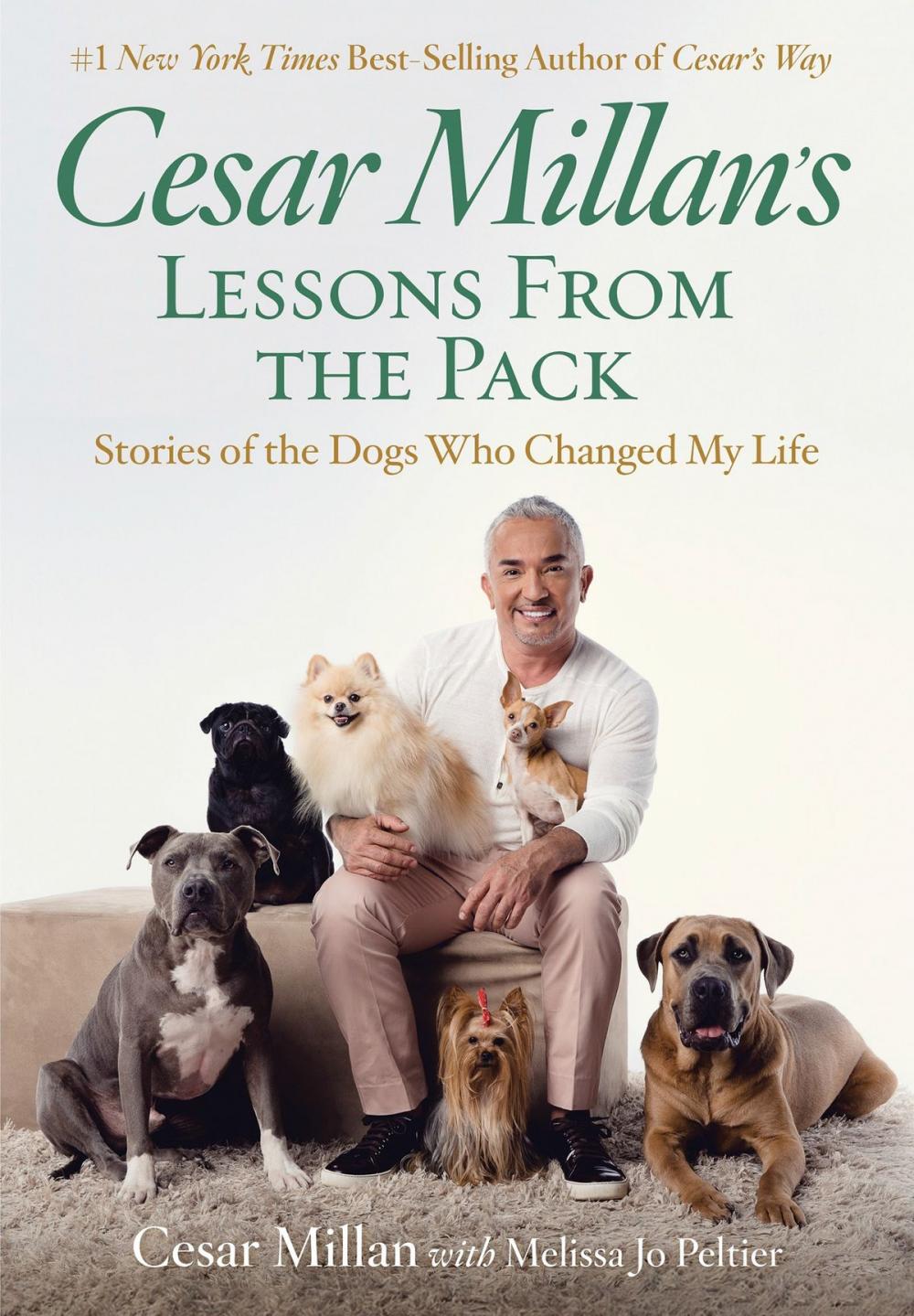 Big bigCover of Cesar Millan's Lessons From the Pack