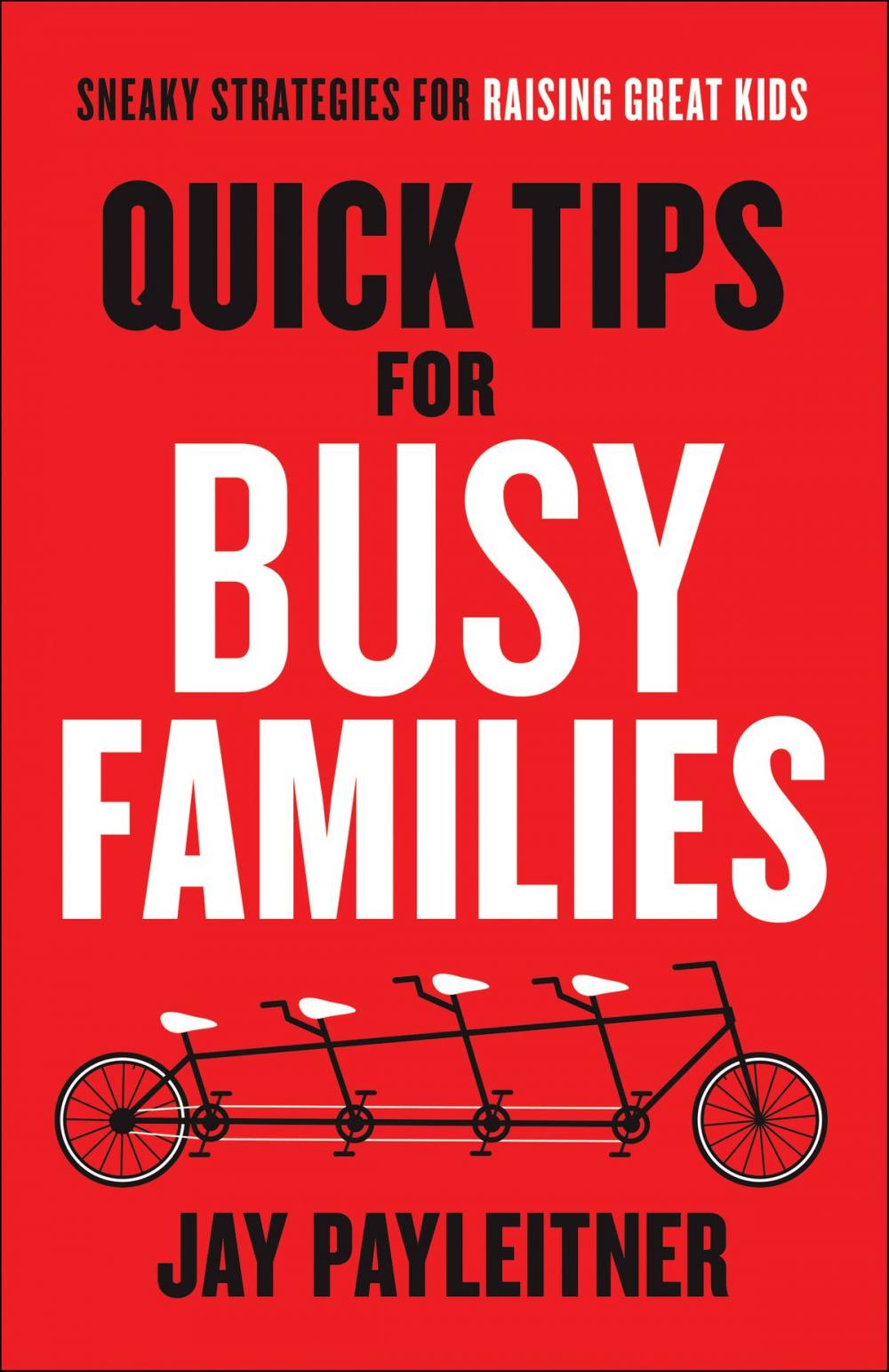 Big bigCover of Quick Tips for Busy Families