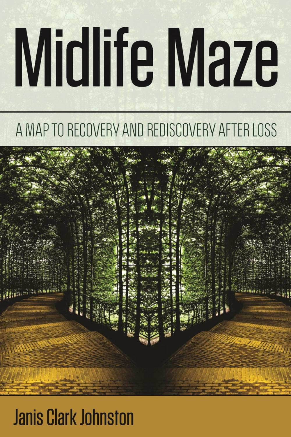 Big bigCover of Midlife Maze