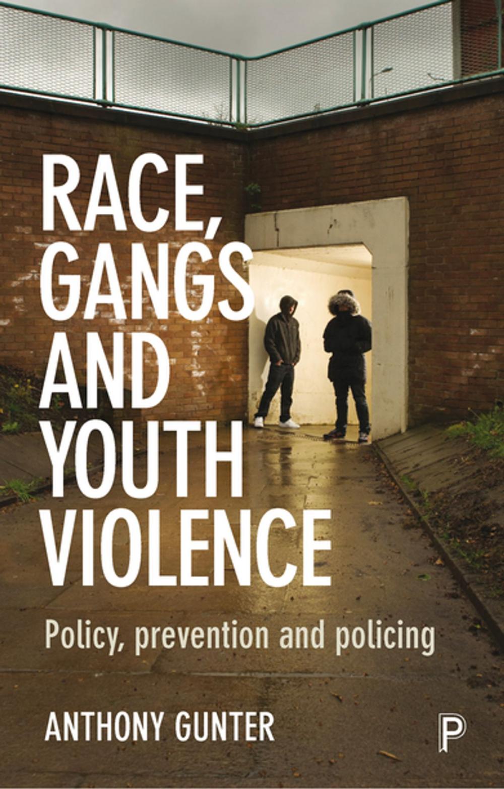 Big bigCover of Race, gangs and youth violence