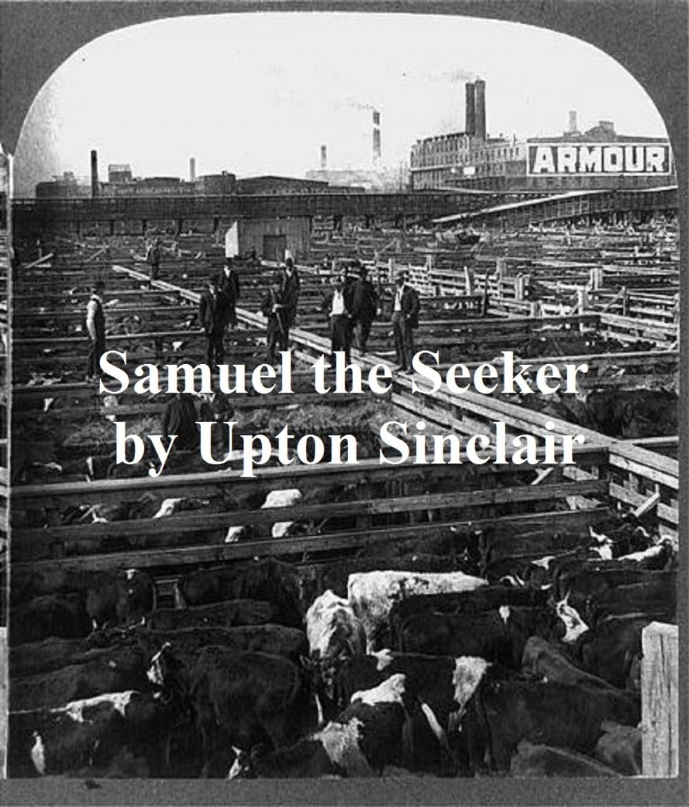 Big bigCover of Samuel the Seeker