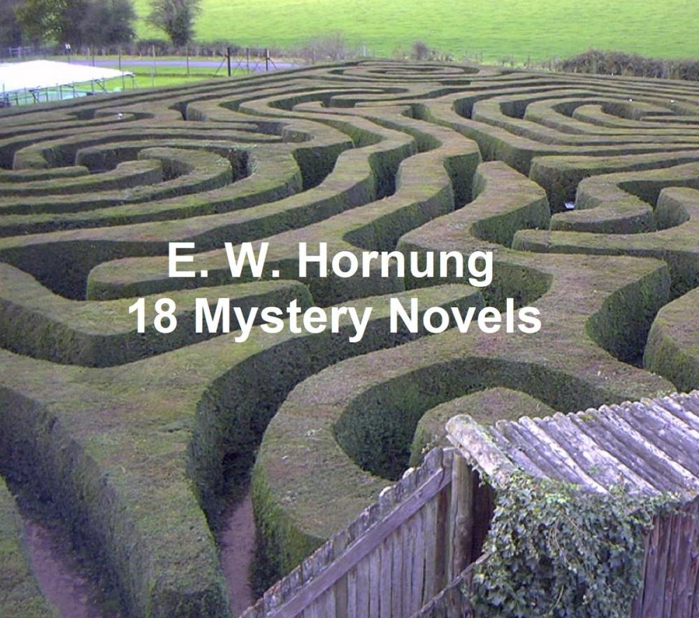 Big bigCover of E.W. Hornung: 8 Books of Mystery Stories