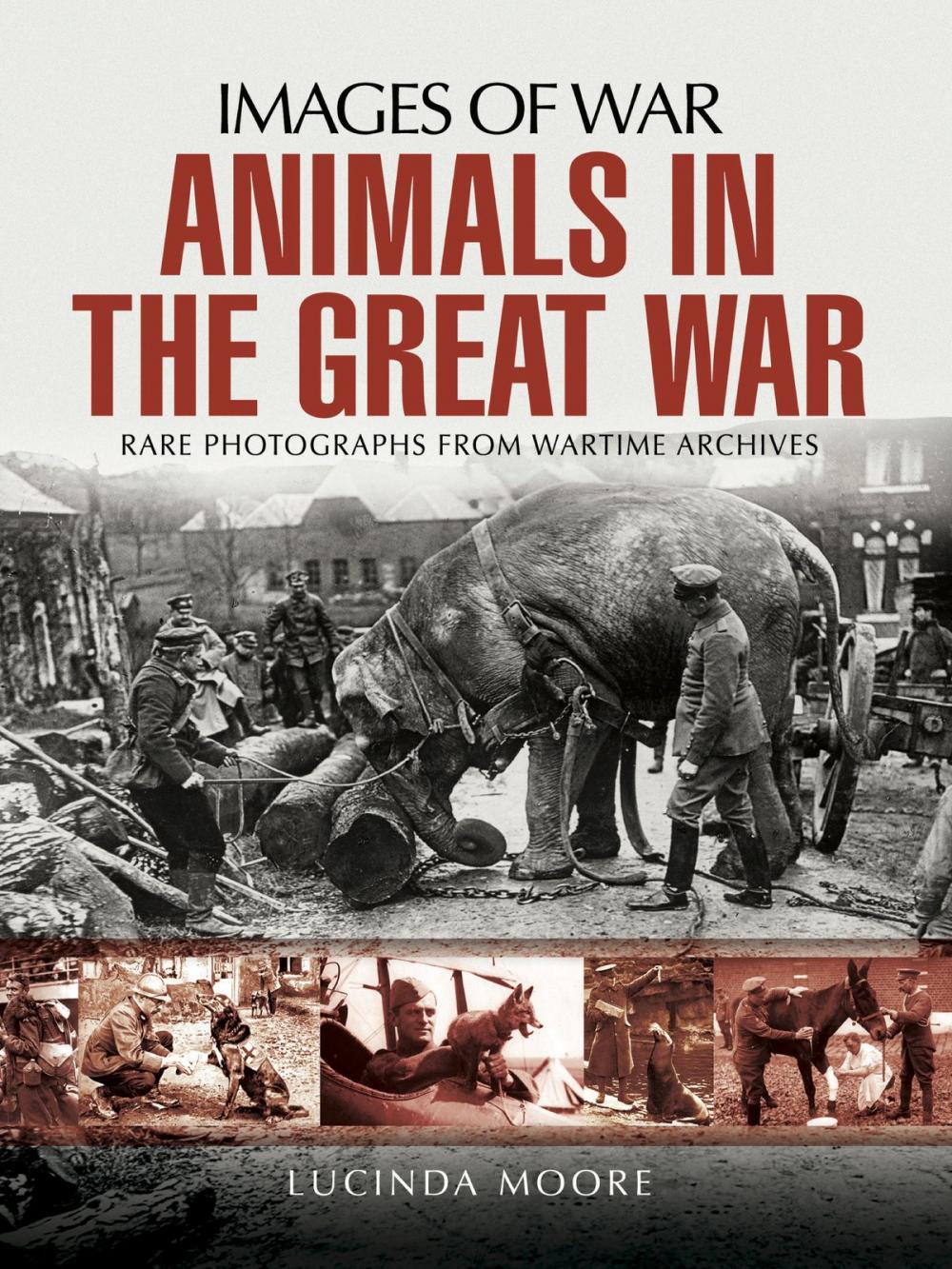 Big bigCover of Animals in the Great War