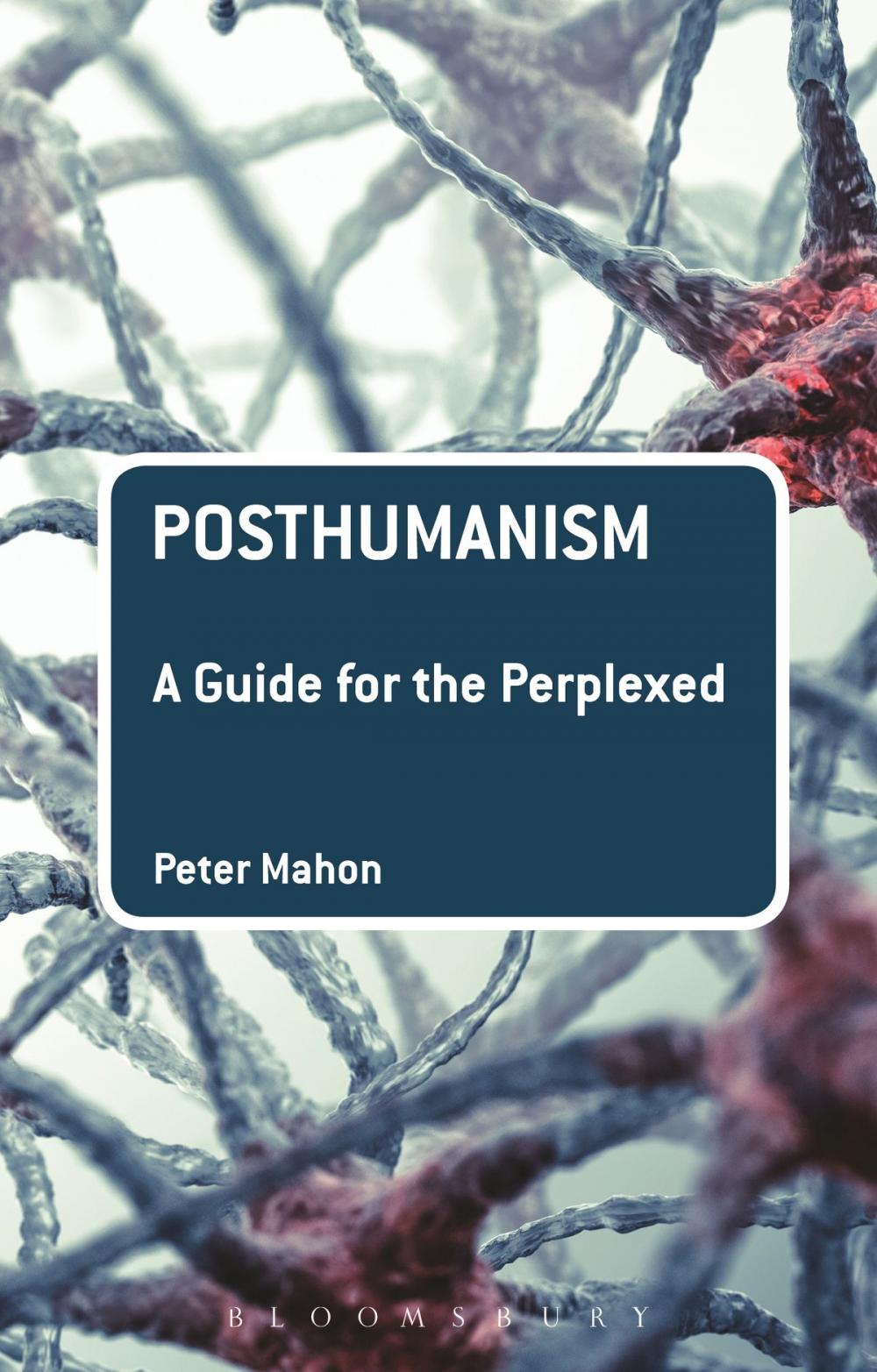 Big bigCover of Posthumanism: A Guide for the Perplexed