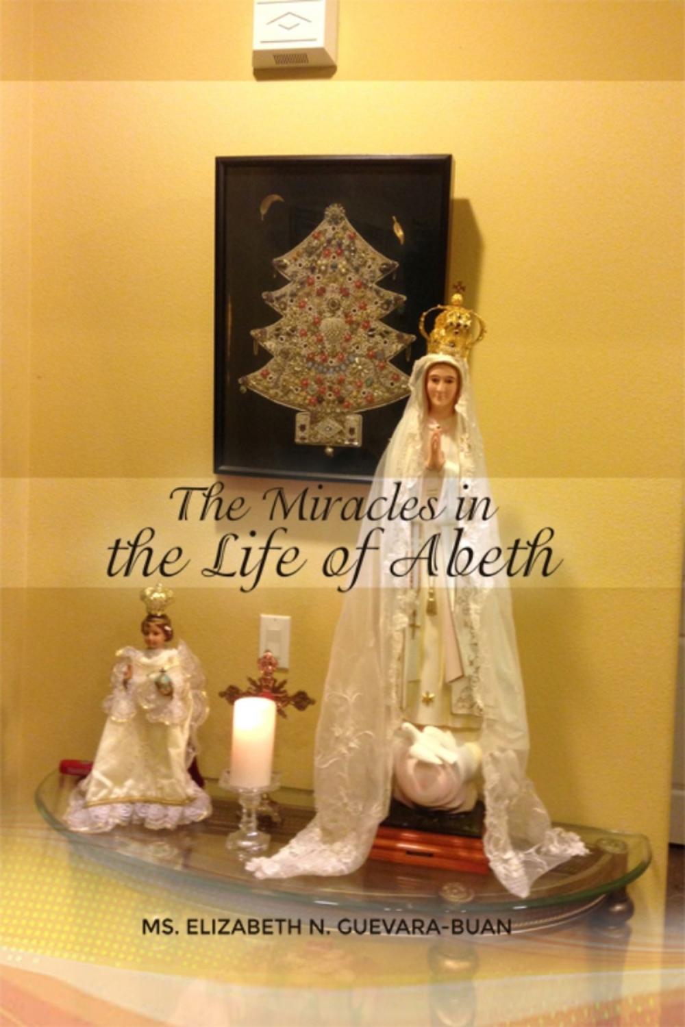 Big bigCover of The Miracles in the Life of Abeth