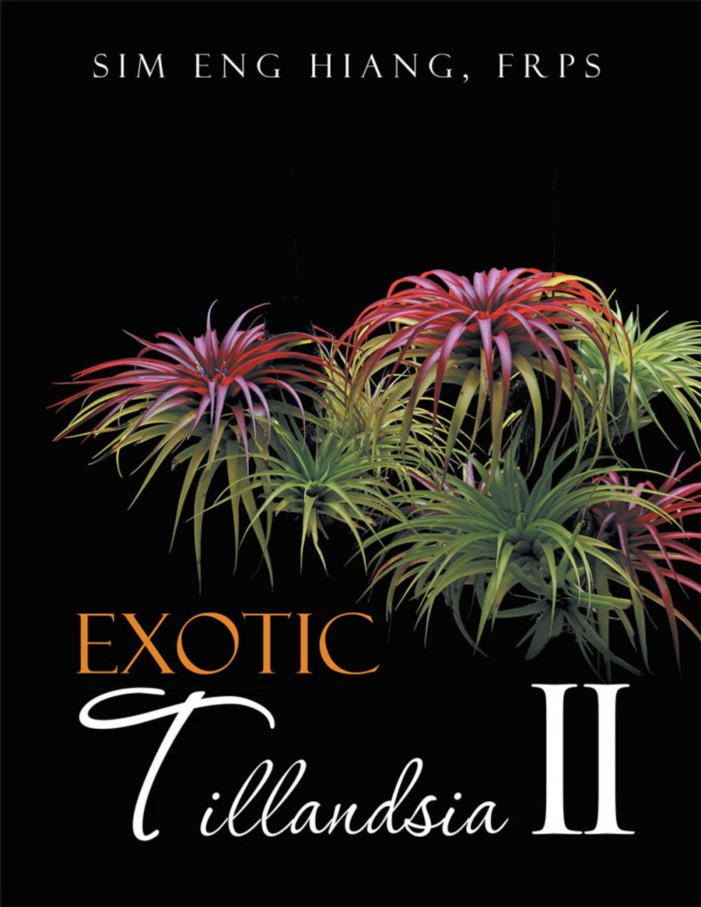 Big bigCover of Exotic Tillandsia Ii