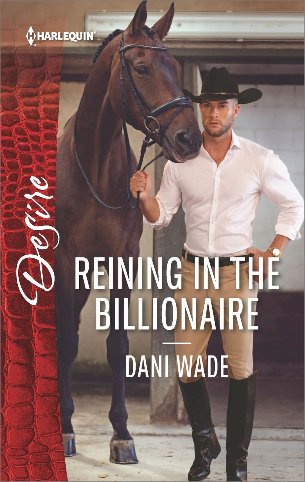 Big bigCover of Reining in the Billionaire