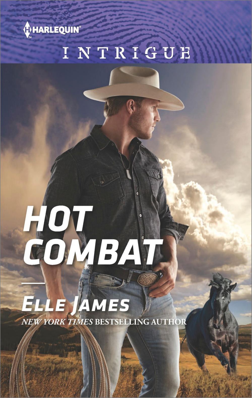 Big bigCover of Hot Combat