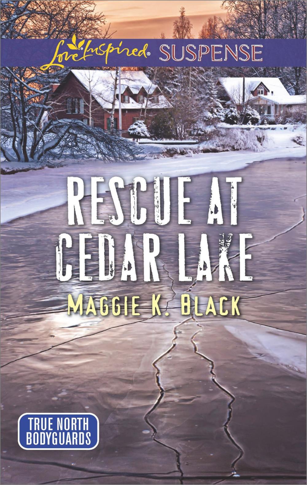 Big bigCover of Rescue at Cedar Lake